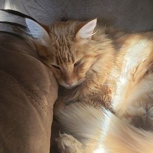 Meet your Posher, Arlo